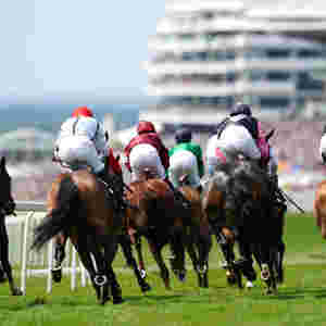 Jockey.jpg