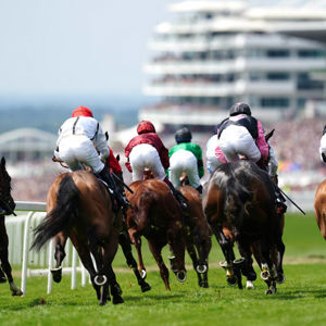 Jockey.jpg